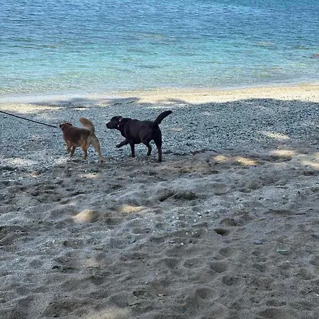 Luxury House Andrijana 빌라