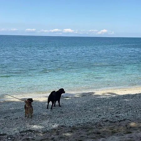 Luxury House Andrijana 빌라