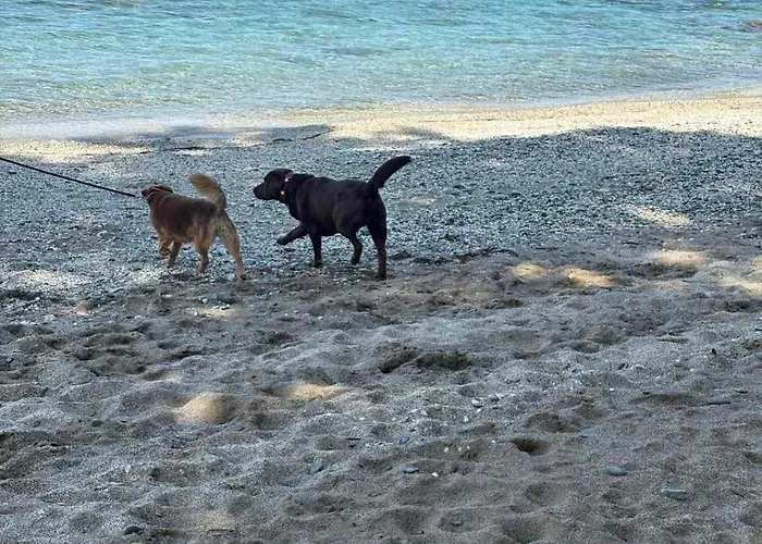 Luxury House Andrijana Βίλα