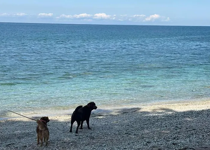 Luxury House Andrijana Βίλα